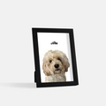 Custom Desktop One Pet Portrait